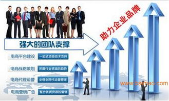 湖南網(wǎng)店美工設(shè)計(jì)、代運(yùn)營(yíng)與網(wǎng)絡(luò)營(yíng)銷策劃 一站式電商服務(wù)解決方案